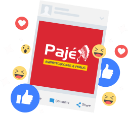 Siga a Pajé Amortecedores no Instagram Siga a Pajé Amortecedores no Instagram